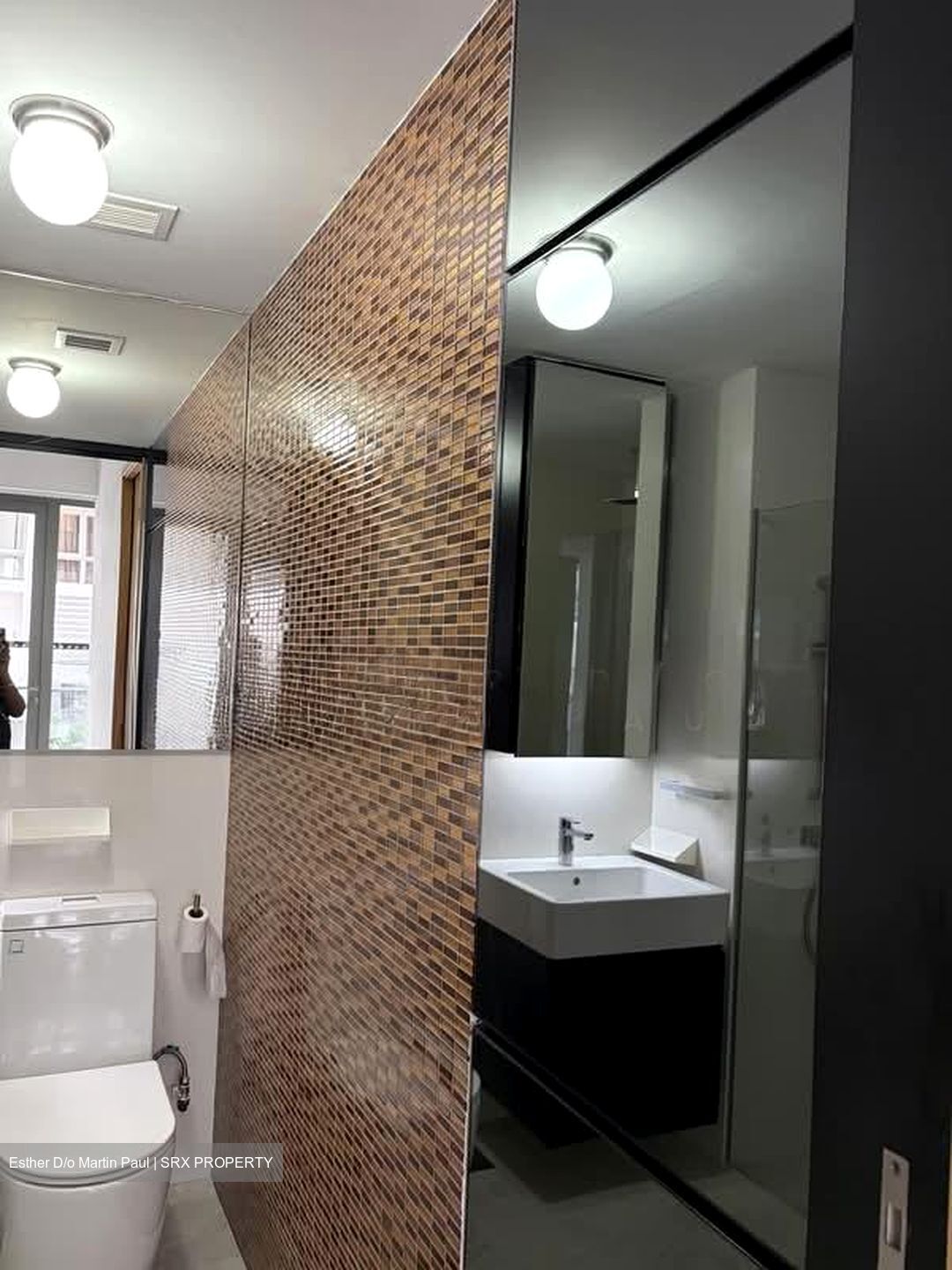 Vivace (D9), Apartment #590773671
